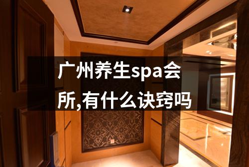 广州养生spa会所,有什么诀窍吗