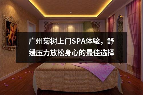 广州菊树上门SPA体验，舒缓压力放松身心的最佳选择