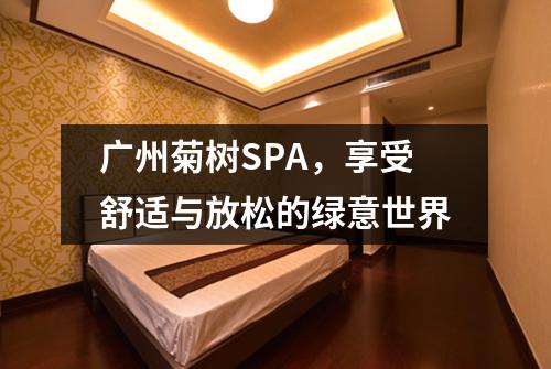 广州菊树SPA，享受舒适与放松的绿意世界