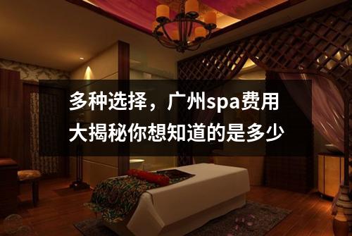多种选择，广州spa费用大揭秘你想知道的是多少