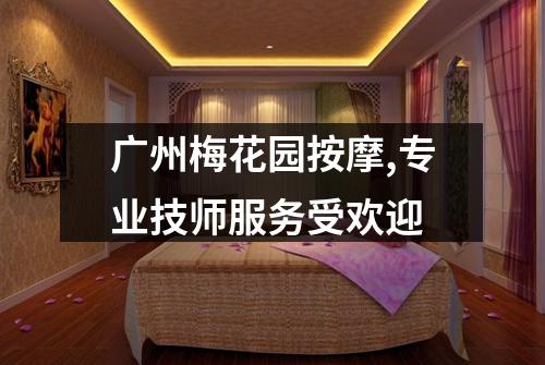 广州梅花园按摩,专业技师服务受欢迎