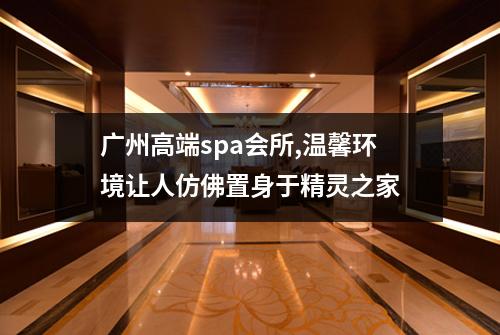 广州高端spa会所,温馨环境让人仿佛置身于精灵之家