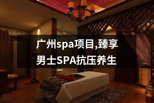 广州spa项目,臻享男士SPA抗压养生