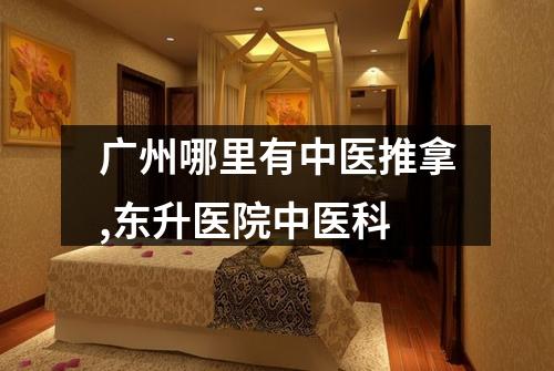 广州哪里有中医推拿,东升医院中医科