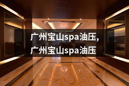 广州宝山spa油压,广州宝山spa油压
