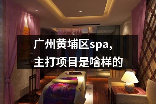 广州黄埔区spa,主打项目是啥样的
