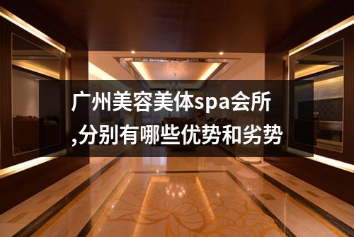 广州美容美体spa会所,分别有哪些优势和劣势