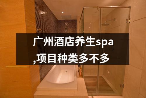 广州酒店养生spa,项目种类多不多
