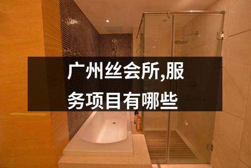 广州丝会所,服务项目有哪些