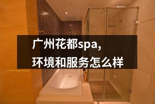 广州花都spa,环境和服务怎么样