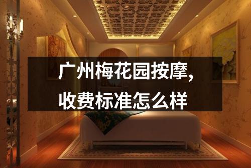 广州梅花园按摩,收费标准怎么样