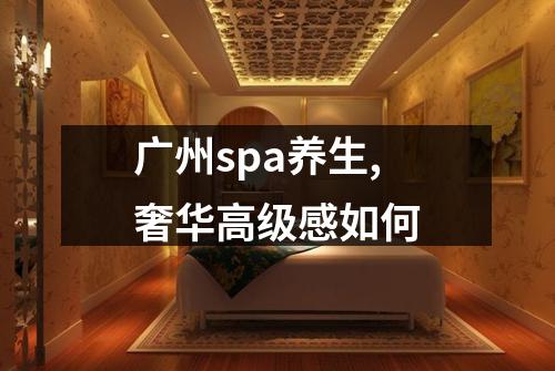 广州spa养生,奢华高级感如何