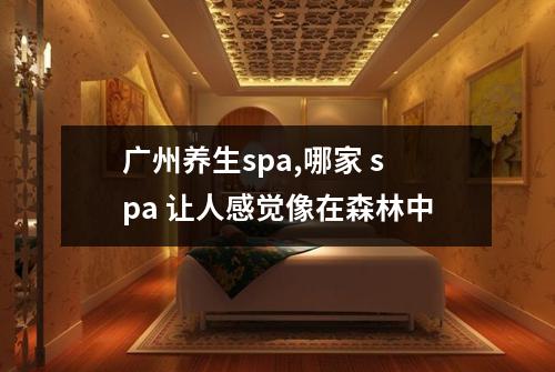 广州养生spa,哪家 spa 让人感觉像在森林中