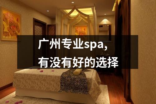 广州专业spa,有没有好的选择